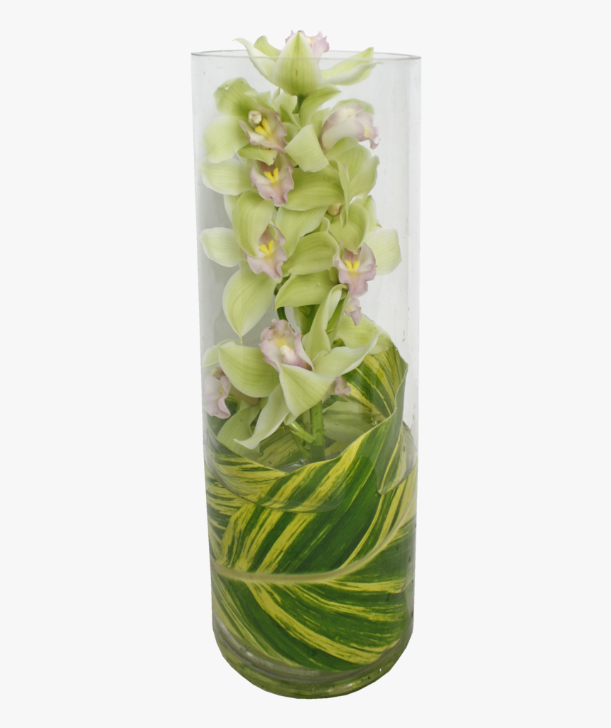 Cymbidium Orchid In Glass Tube, Perfect For A Modern - Vase, HD Png Download, Free Download