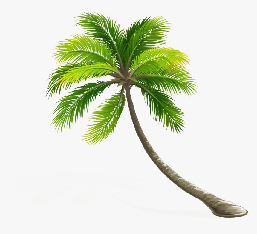 Arecaceae Coconut Leaf Tree Hd Image Free Png Clipart - Transparent Background Palm Tree Png, Png Download, Free Download