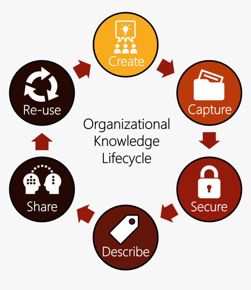 Km Targets Both Tacit Knowledge, I - Organizational Knowledge Life Cycle, HD Png Download, Free Download