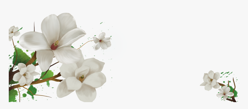 Transparent Background Jasmine Flower Png, Png Download, Free Download