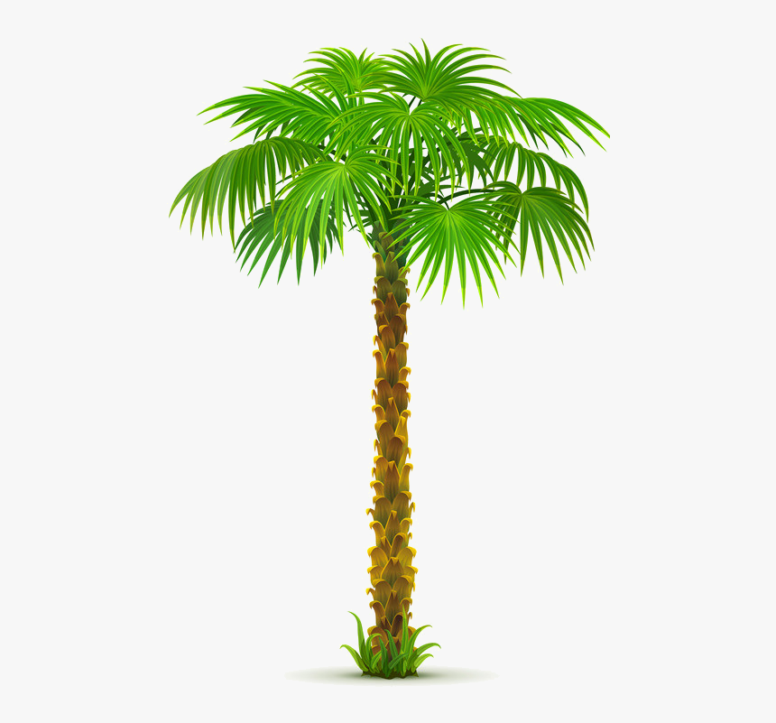 Arbre,png Garden Mural, Flower Clipart, Leaf Clipart, - Dates Tree Png Clipart, Transparent Png, Free Download