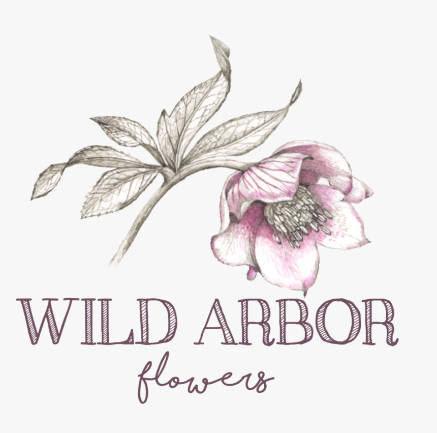 Wildarbor Logoclearbackgroundfinal - Boho, HD Png Download, Free Download