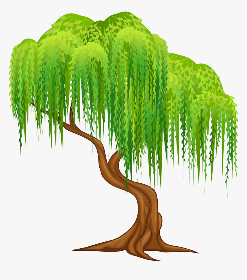 Willow Png Clip Art - Weeping Willow Tree Clipart, Transparent Png, Free Download