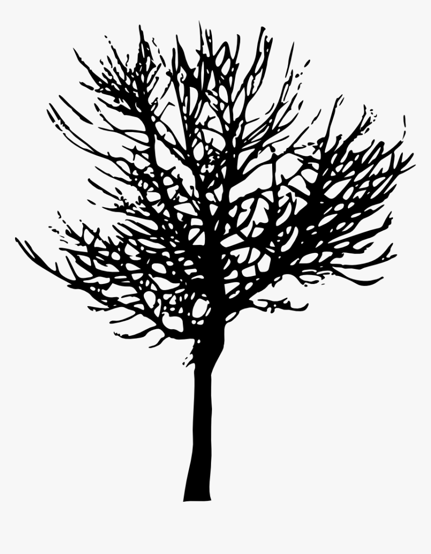 Tree Silhouette - Tree Silhouette No Background, HD Png Download, Free Download