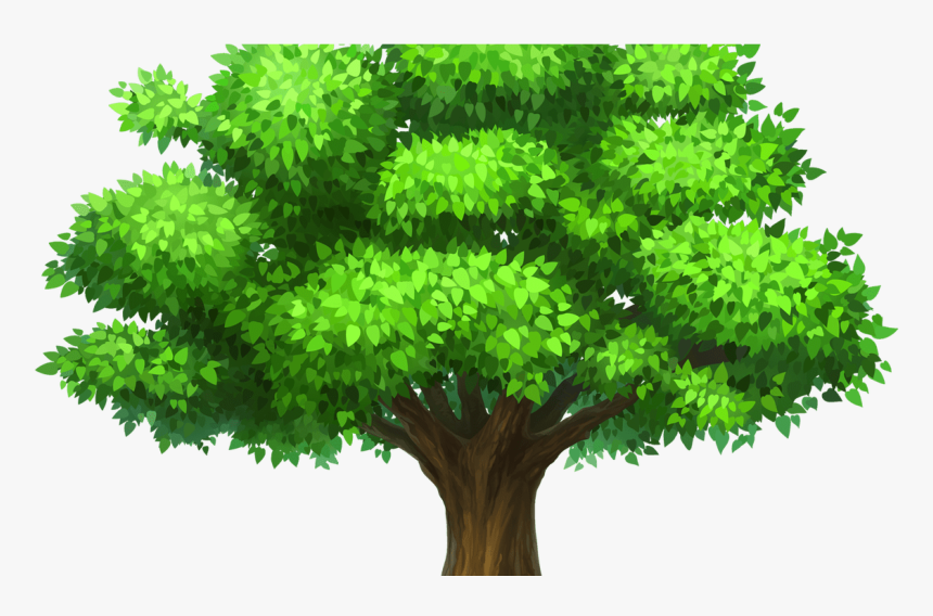 Download Oak Tree Image - Transparent Background Oak Tree Clipart, HD Png Download, Free Download