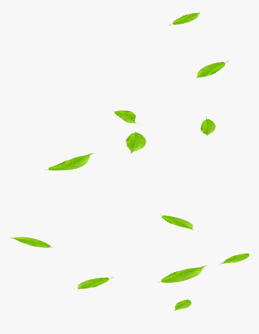 Falling Leaves Png Download - Falling Green Leaves Png, Transparent Png, Free Download