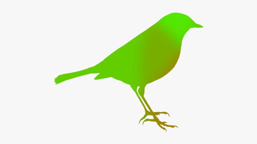 Bird Art Png Transparent Images - Old World Flycatcher, Png Download, Free Download