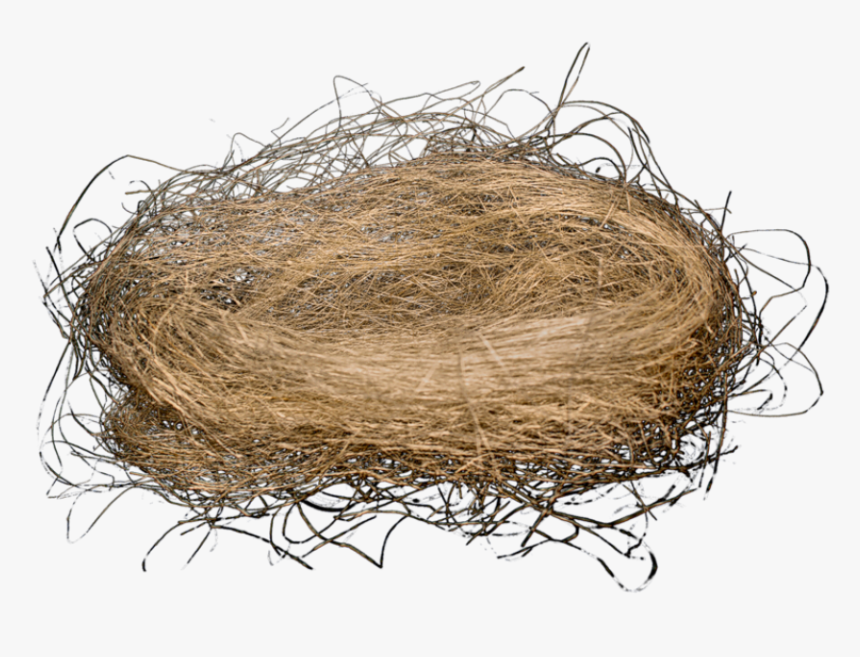 Transparent Nest Clipart - Birds Nest Transparent Background, HD Png Download, Free Download