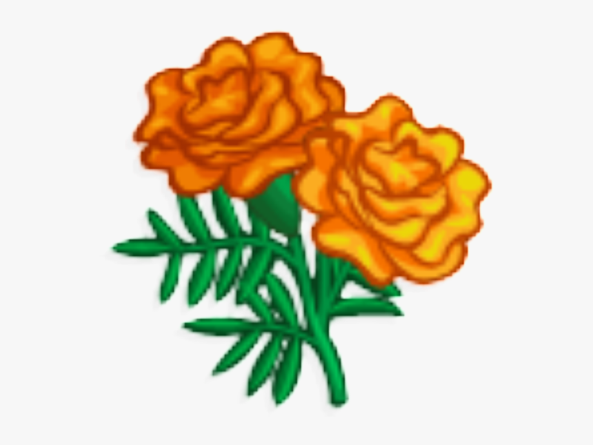 Marigolds Png Transparent - Marigold Clipart, Png Download, Free Download