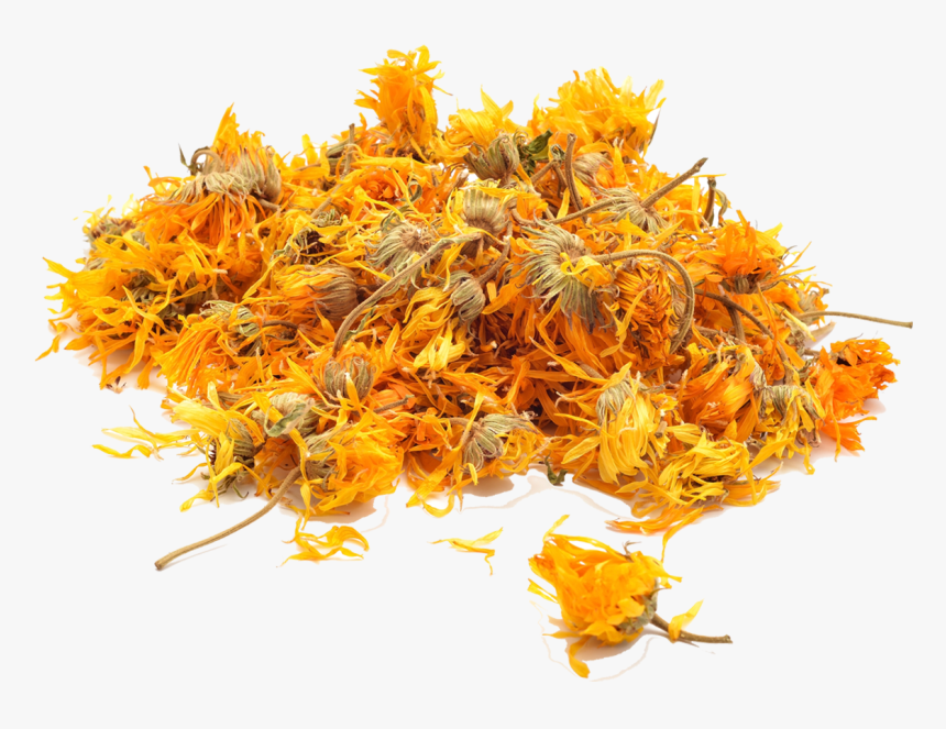 Transparent Marigolds Clipart - Flor De Calendula, HD Png Download, Free Download