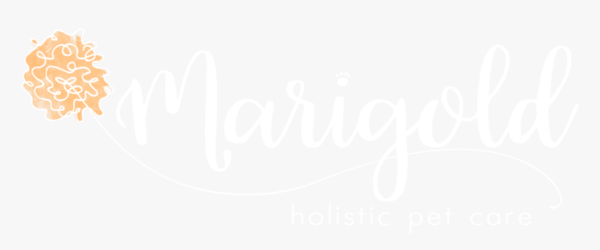 Ivory, HD Png Download, Free Download