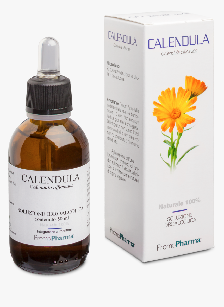 Marigold Png, Transparent Png, Free Download