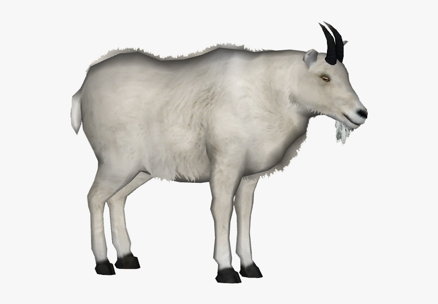 Mountain Goat Transparent Background, HD Png Download, Free Download