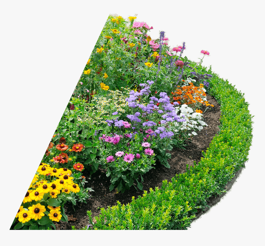 Botanical-garden - Perennial Flower Garden, HD Png Download, Free Download