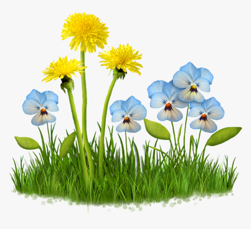 #flower #garden #plant #nature #grass #field #lawn - Clipart Fleurs Fond Transparent, HD Png Download, Free Download