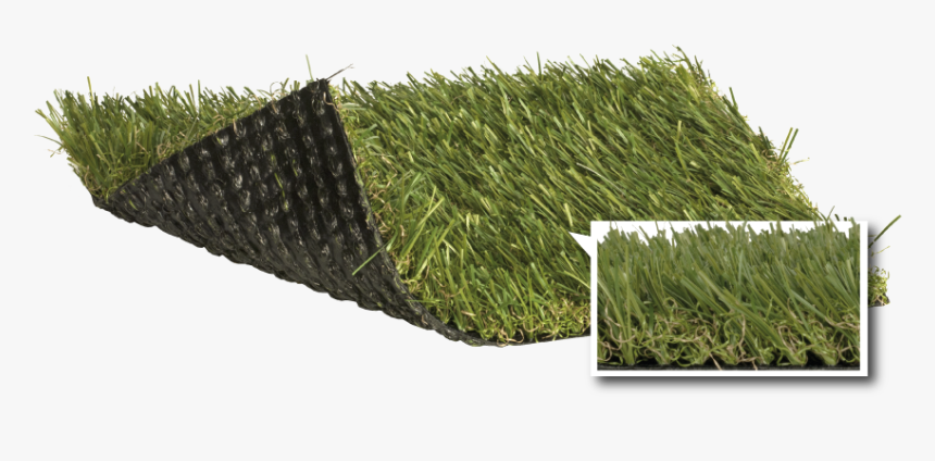 Artificial Turf, HD Png Download, Free Download
