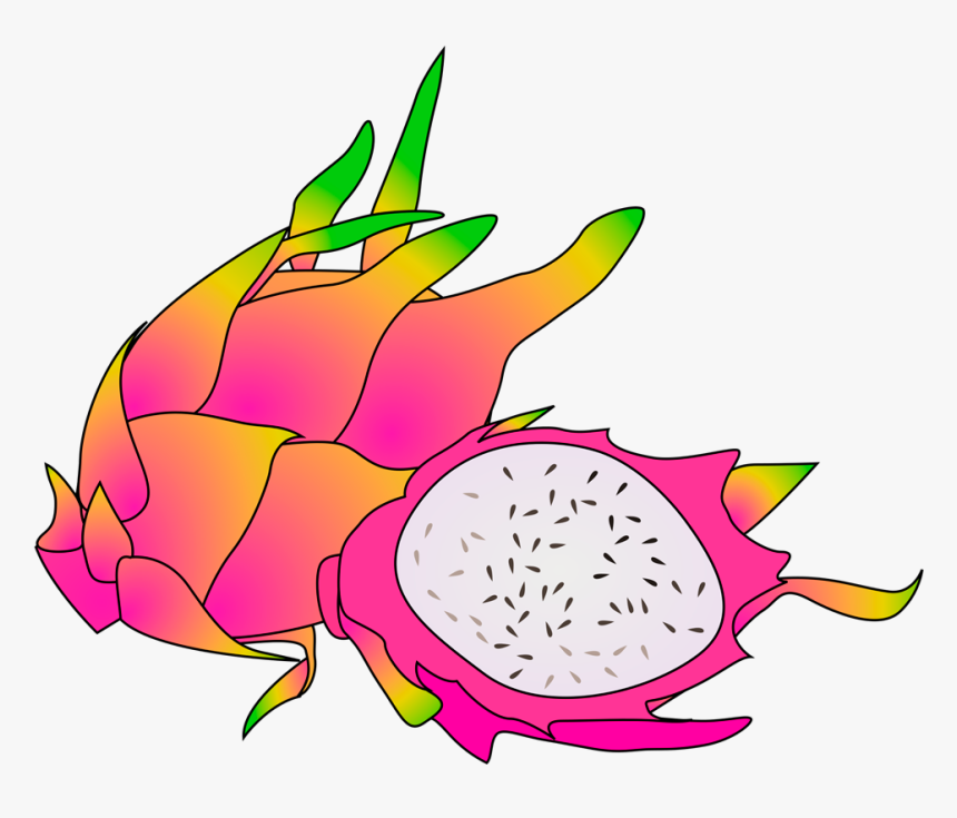 Dragon Fruit Clipart Transparent - Dragon Fruit Fruit Clipart, HD Png Download, Free Download