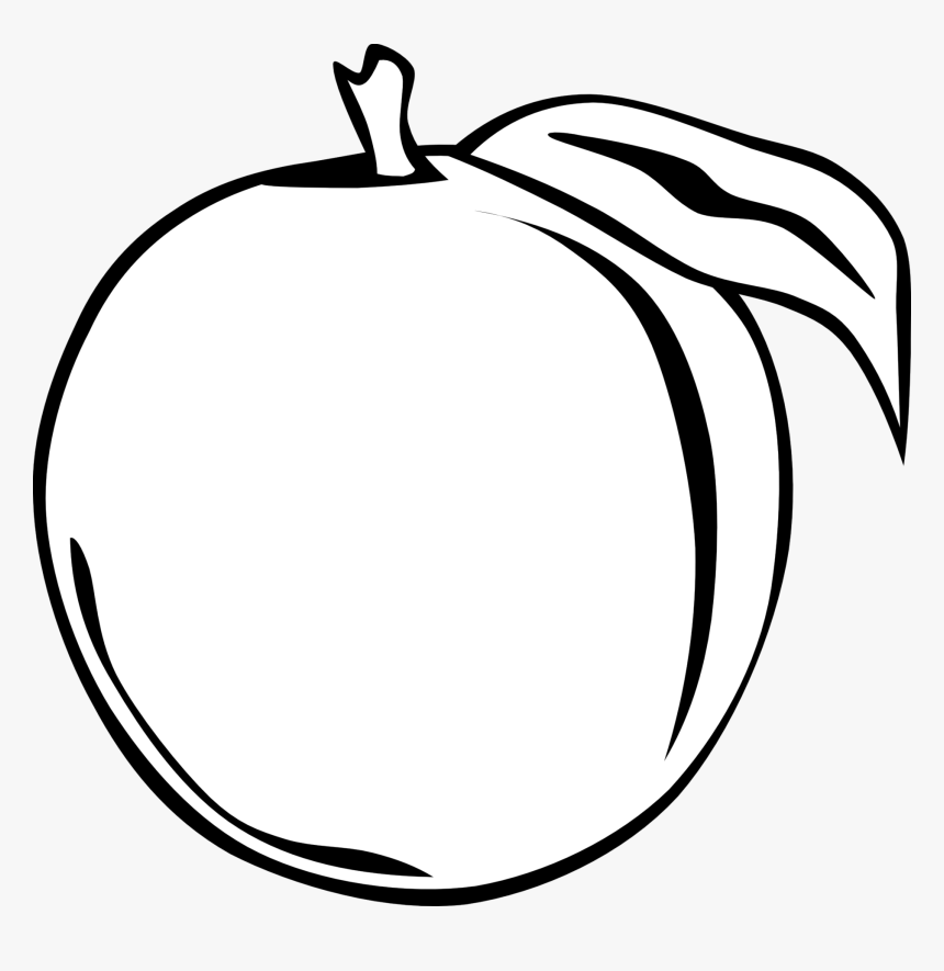 Fruit Black And White Orange Fruit Clipart Black And - Orange Black And White Clipart, HD Png Download, Free Download