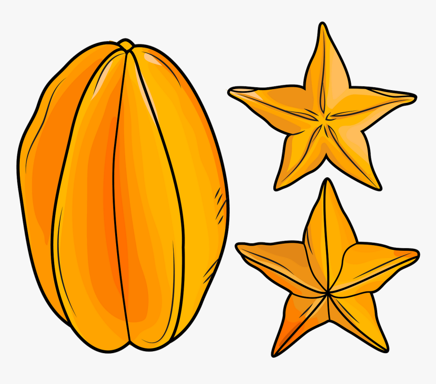 Star Fruit Vector, HD Png Download, Free Download