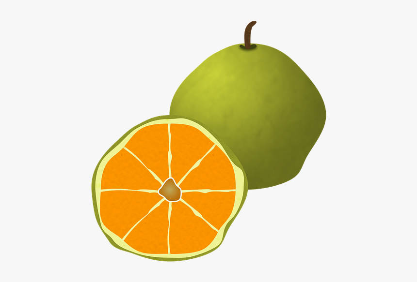 Ugli Fruit, Fruit, Citrus, Organic, Juicy, Orange - Ugli Fruit Png, Transparent Png, Free Download
