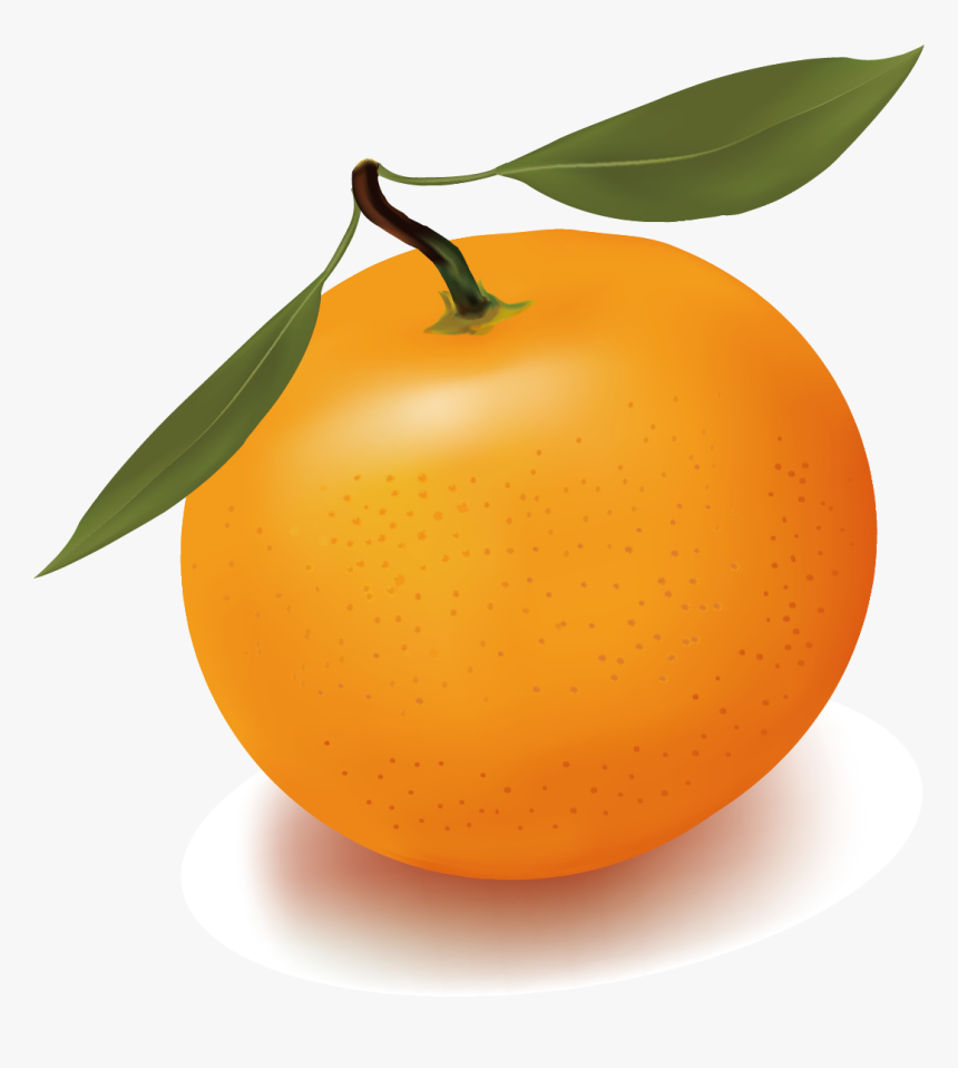 100 EPIC Best Orange  Juice Png  Cartoon  