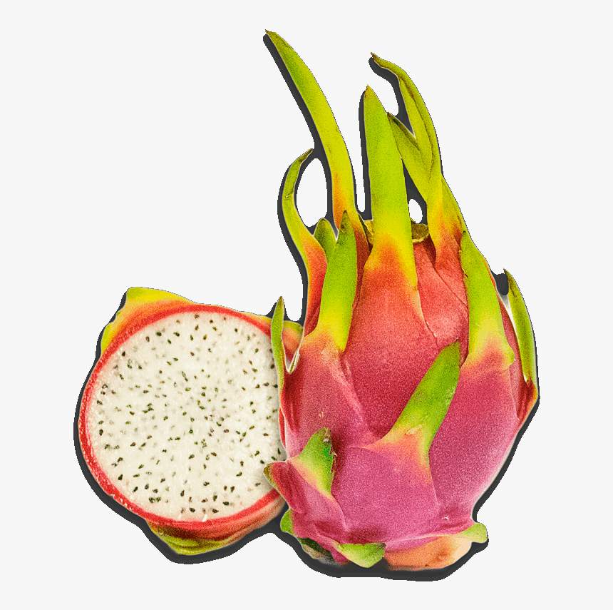 Dragon Fruit Pictures Free Dragon Fruit Clipart - Pitaya, HD Png Download, Free Download