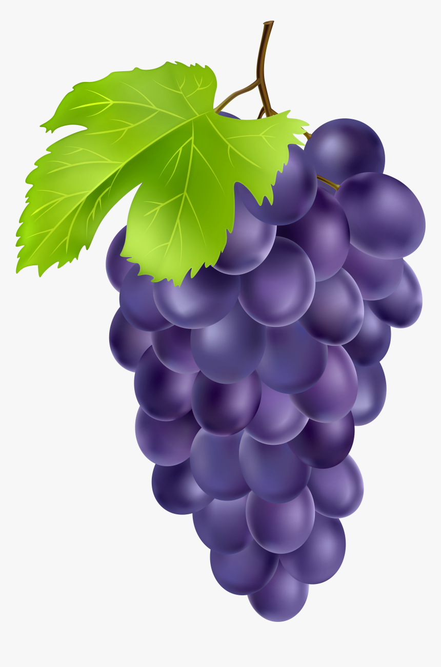 Grapes Clipart Hanging - Grapes Png, Transparent Png, Free Download