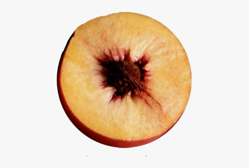 #moodboard #png #filler #nichememe #polyvore #food - Glossier Peach, Transparent Png, Free Download