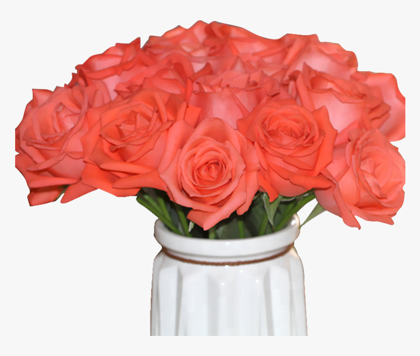 High Quality Fresh Cut Flower Rose From Kunming China - Garden Roses, HD Png Download, Free Download