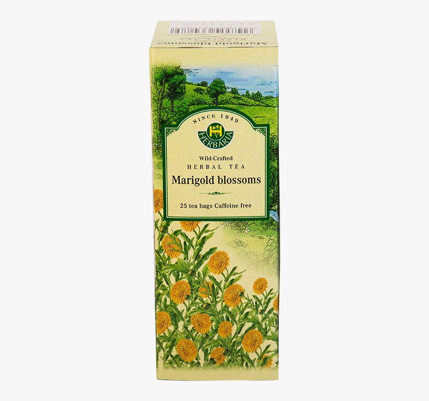 Herbaria Marigold Blossoms V - Milk Thistle Tea, HD Png Download, Free Download