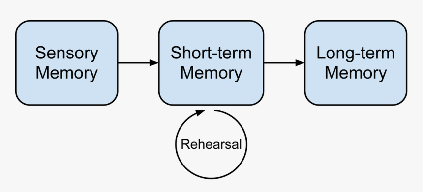 3 Memory Types Ctml - Memory Rehearsal, HD Png Download, Free Download