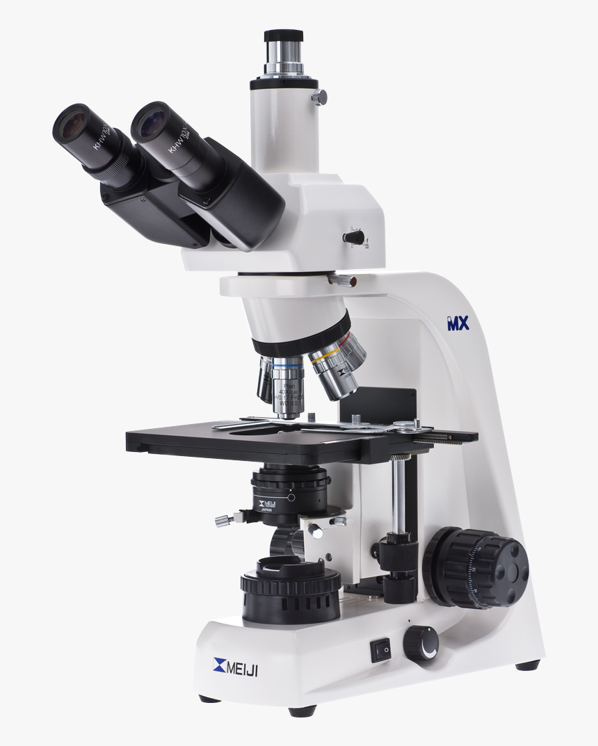 Microscope Png - Biological Microscope, Transparent Png, Free Download