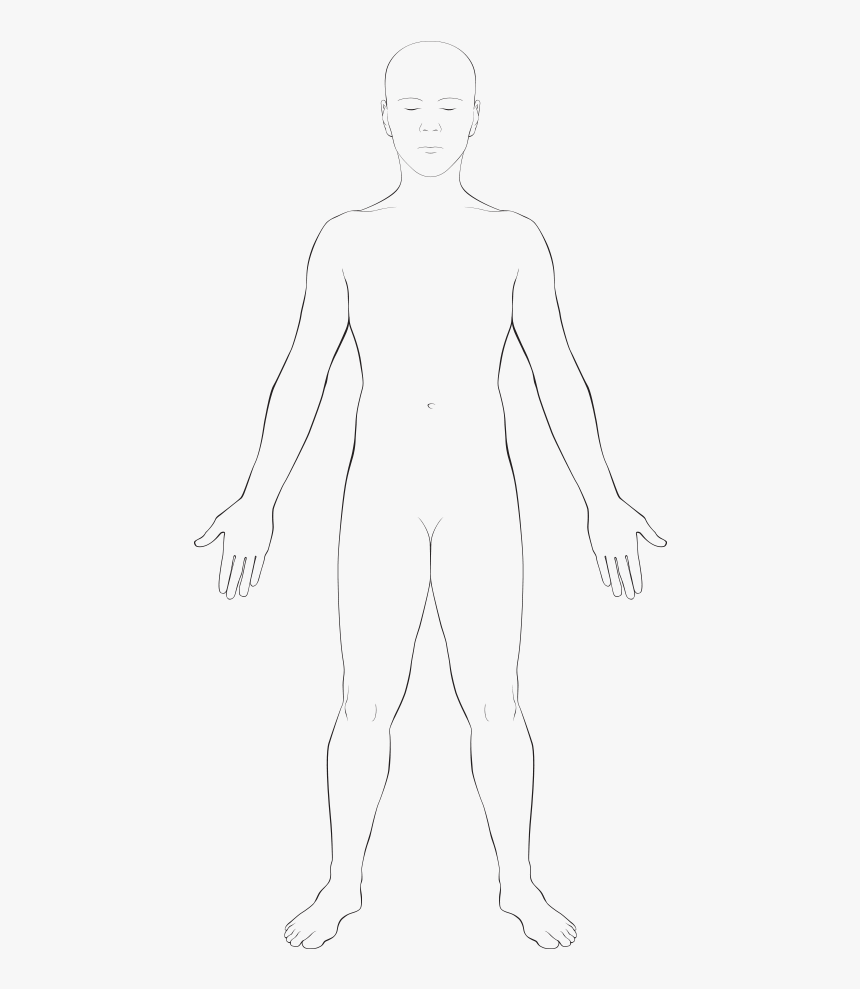 Anatomy Vector Body Outline Physical Body- - Human Body Outline Of Body Transparent, HD Png Download, Free Download