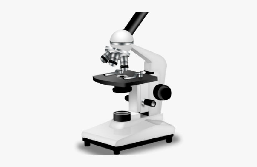 Microscope Png Transparent Images - Parts Of A Microscope Grade 8, Png Download, Free Download