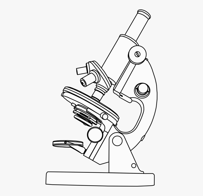 Microscope Clipart Black And White - Light Microscope Black And White, HD Png Download, Free Download