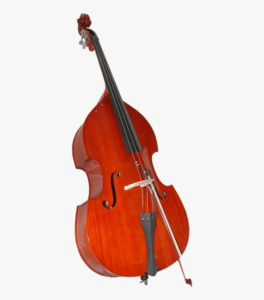 Double Bass - Musical Instrument Double Bass, HD Png Download, Free Download