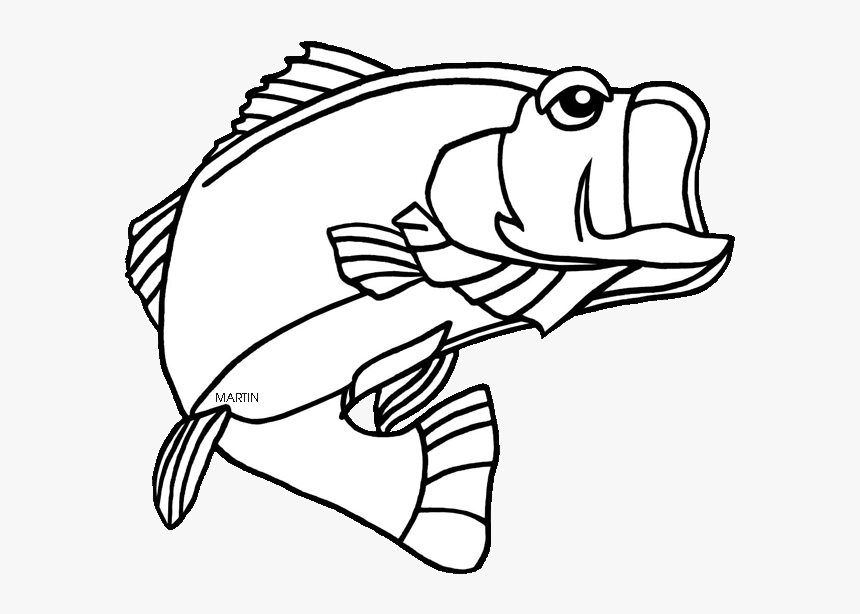 Svg Black And White Bass Fishing Clipart Black And Largemouth Bass Florida State Fish Hd Png Download Kindpng