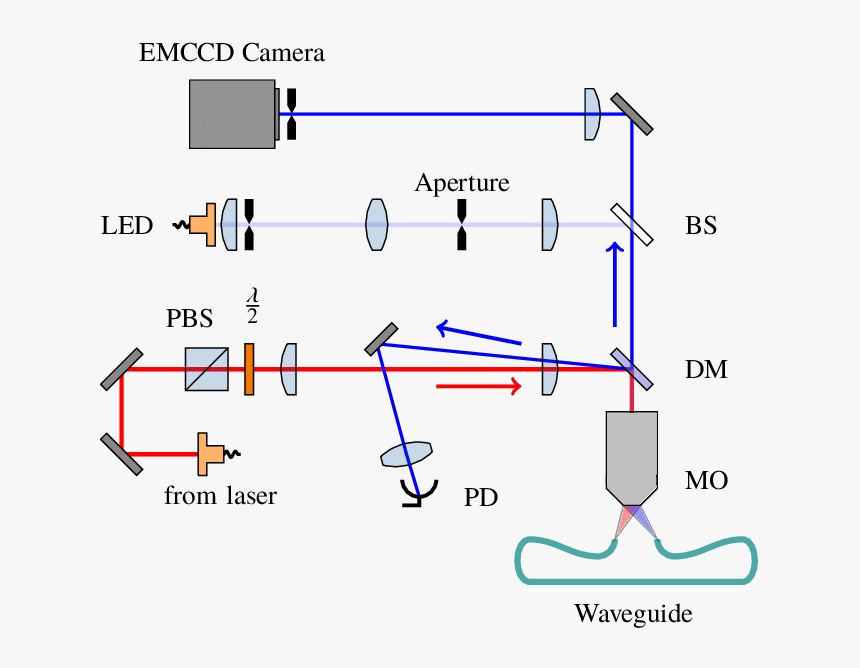 Diagram, HD Png Download, Free Download