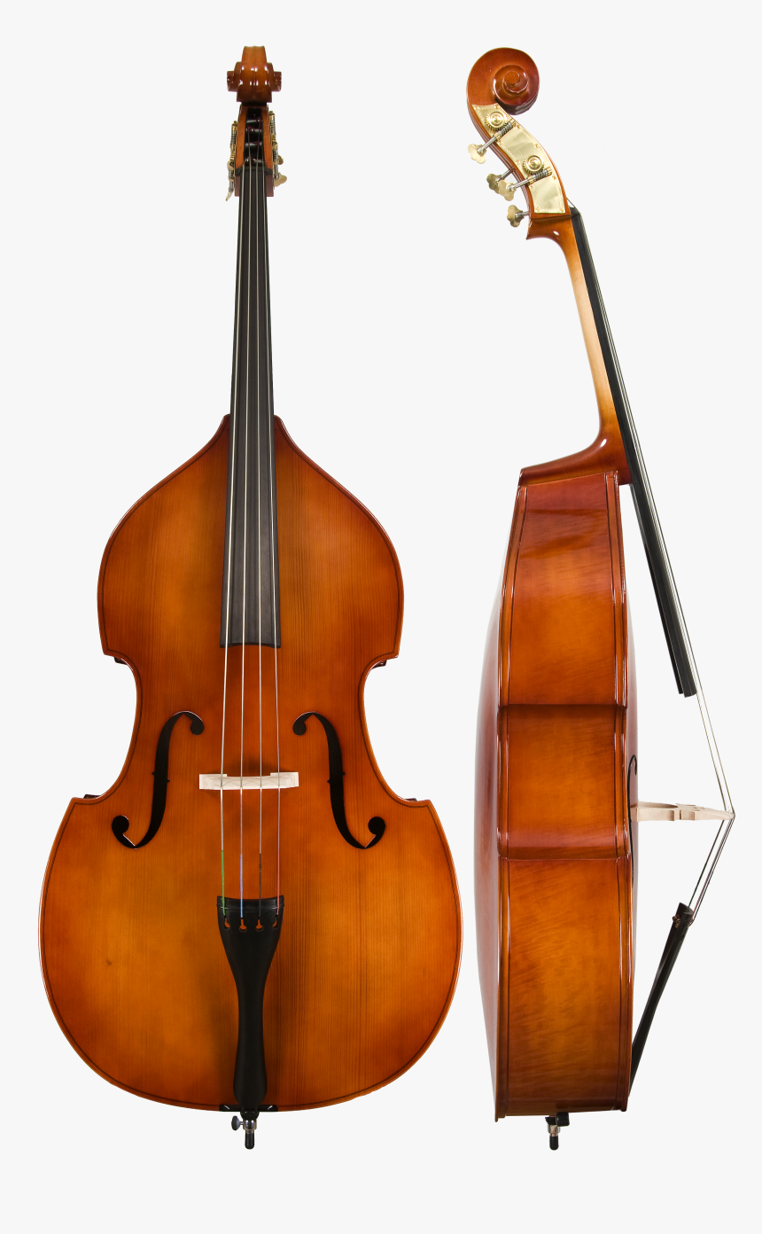 Upright Bass Png, Transparent Png, Free Download