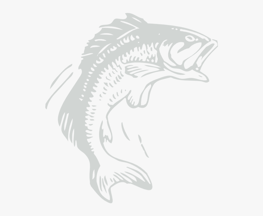 Transparent Bass Fish Png - Bass Transparent Fish Black Logo, Png Download, Free Download