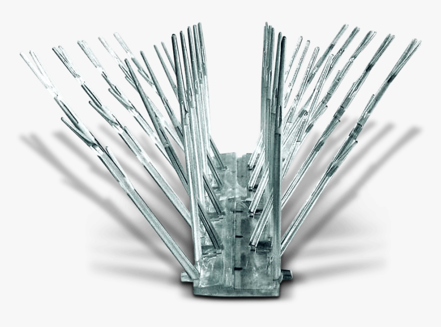 Vase, HD Png Download, Free Download