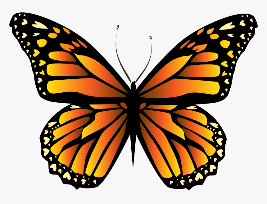 Transparent Butterflies Clipart - Orange Butterfly Png, Png Download, Free Download