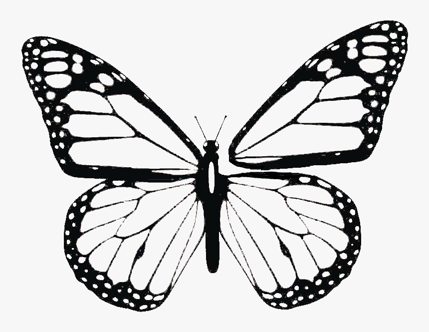 Butterfly Png Library - Monarch Butterfly Black And White, Transparent Png, Free Download