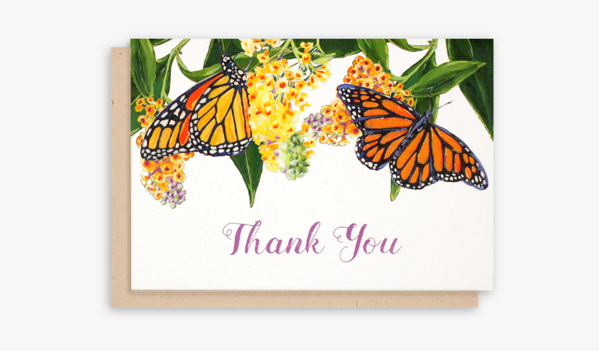 Thank You Images Butterfly, HD Png Download, Free Download