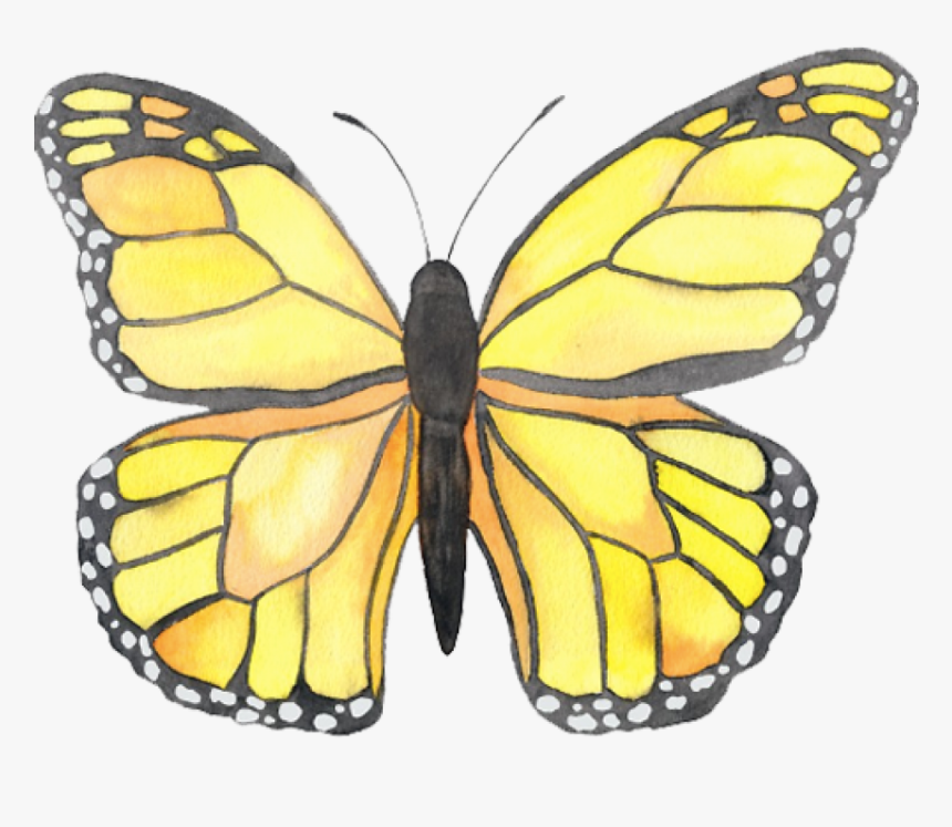 Yellow Vsco Stickers Butterfly, HD Png Download, Free Download