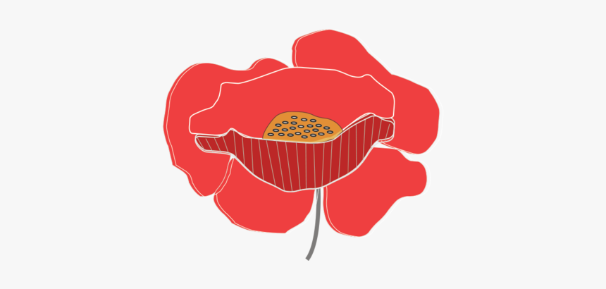 Op Poppy Long - Bánh, HD Png Download, Free Download