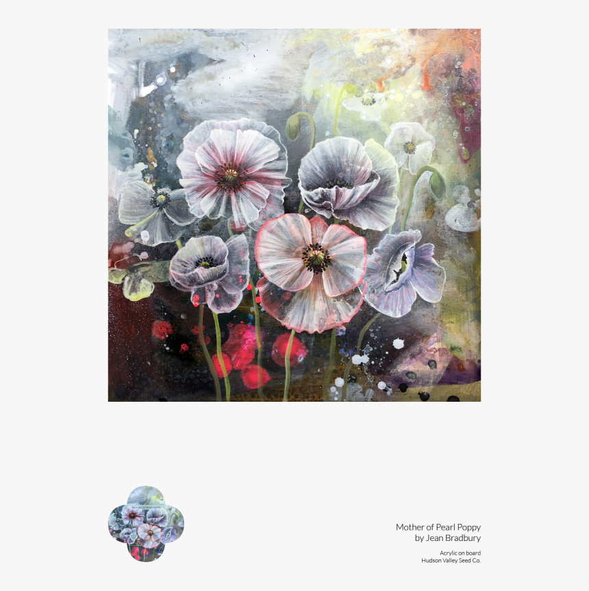 Mother Of Pearl Poppy Fine Art Poster - Tree Mallow, HD Png Download, Free Download