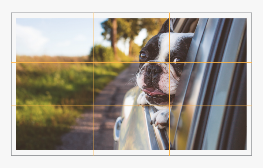 Rule Of Thirds Dog, HD Png Download, Free Download