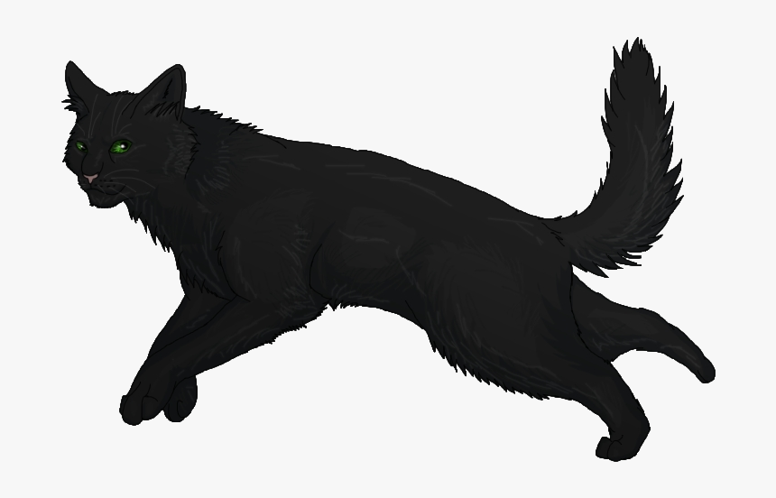 Holly Leaf Black Cat Warriors Hollyleaf Clip Art Transparent - Cute Warrior Cats Holly Leaf, HD Png Download, Free Download