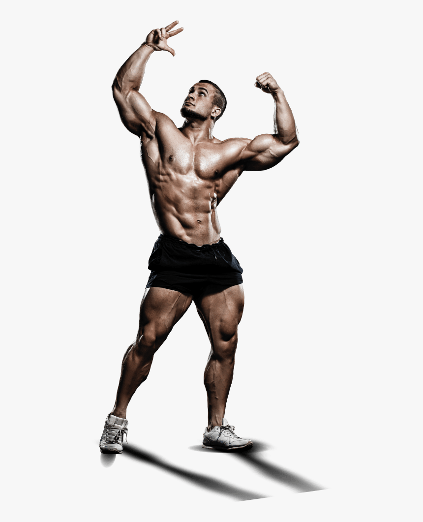 Bodybuilding Png - Bodybuilder Png, Transparent Png, Free Download